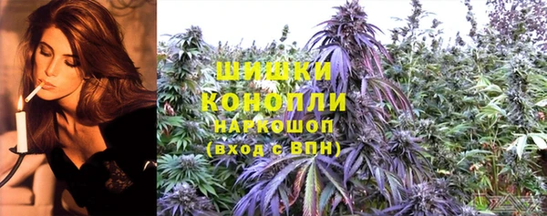 метадон Вяземский