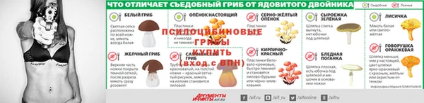 метадон Вяземский