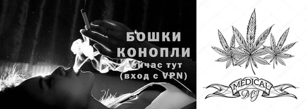 метадон Вяземский