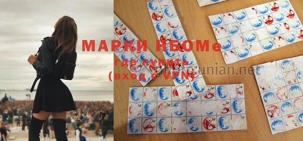 индика Вязники