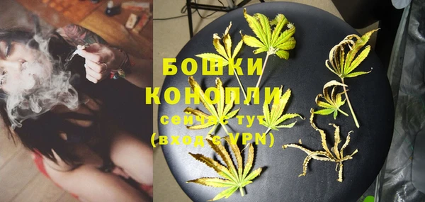 apvp Вязьма