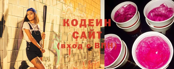 индика Вязники