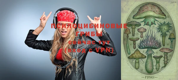 метадон Вяземский