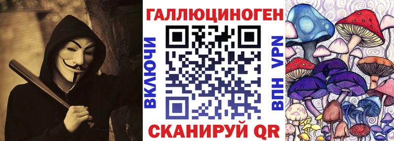 Купить закладки  Татарск  Псилоцибиновые грибы Psilocybe 
